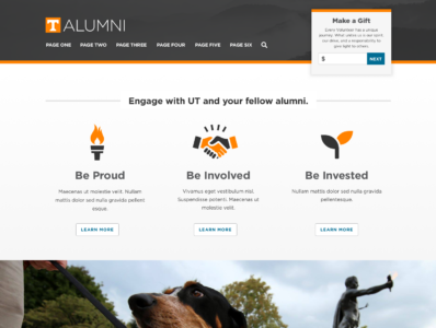 Initial Concept B from the University of Tennessee Alumni Association Redesign